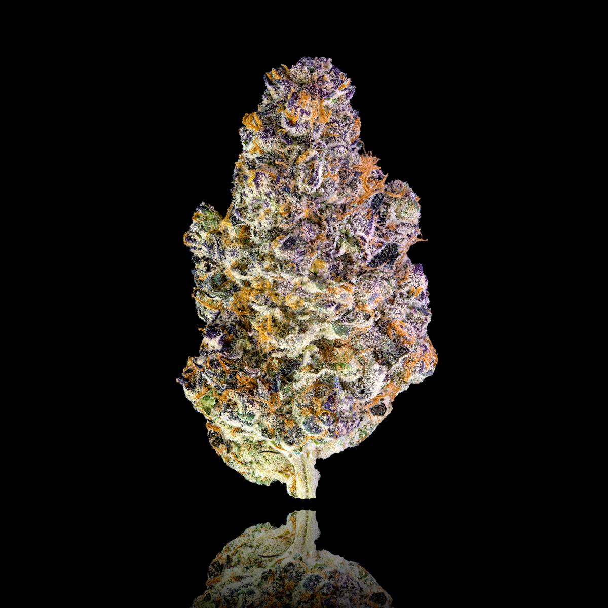 Key Lime Jack Pre-Roll 5-Pack [2.5g] - image 2