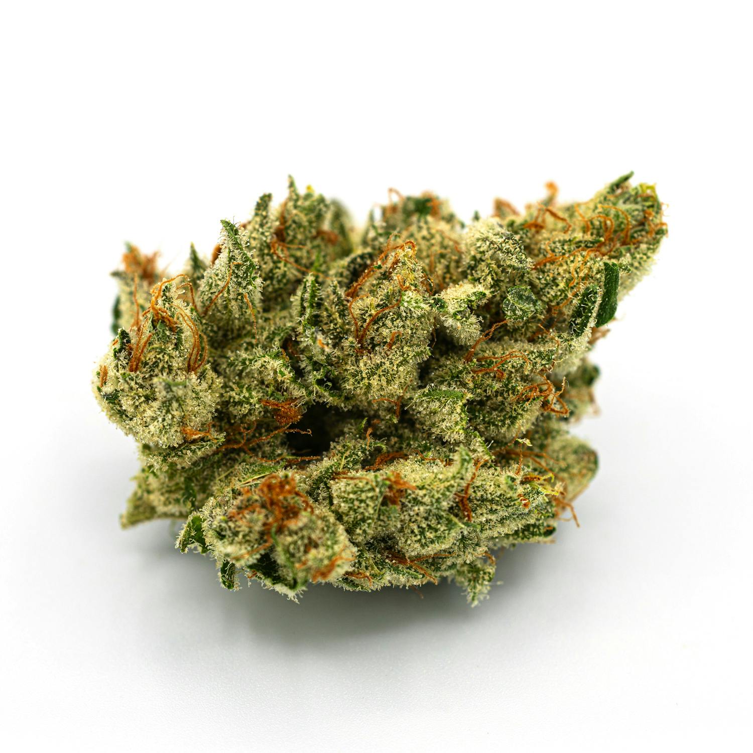 Sunshine Daydream Pre Pack Flower - 14g - image 1