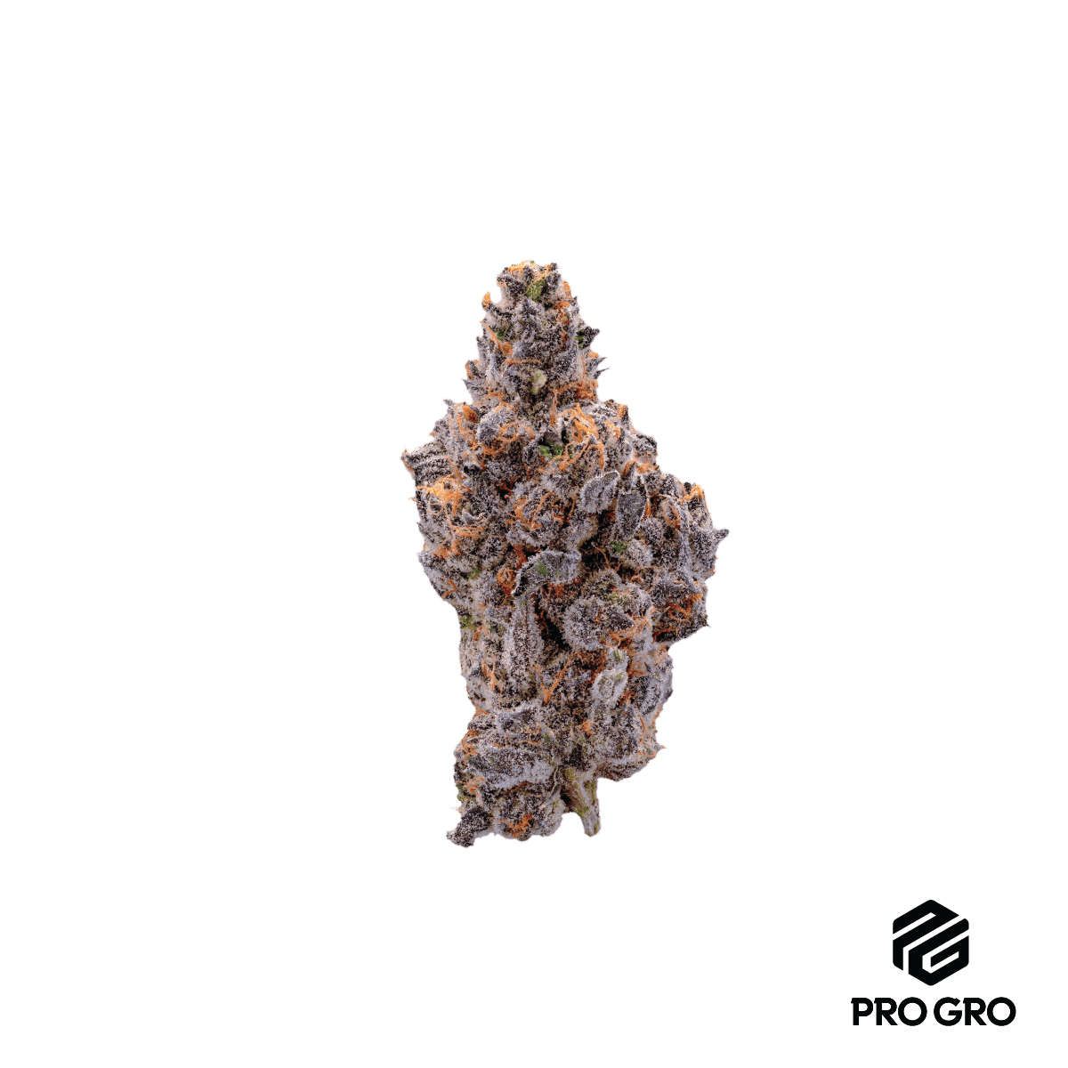 Apple Tart - image 1