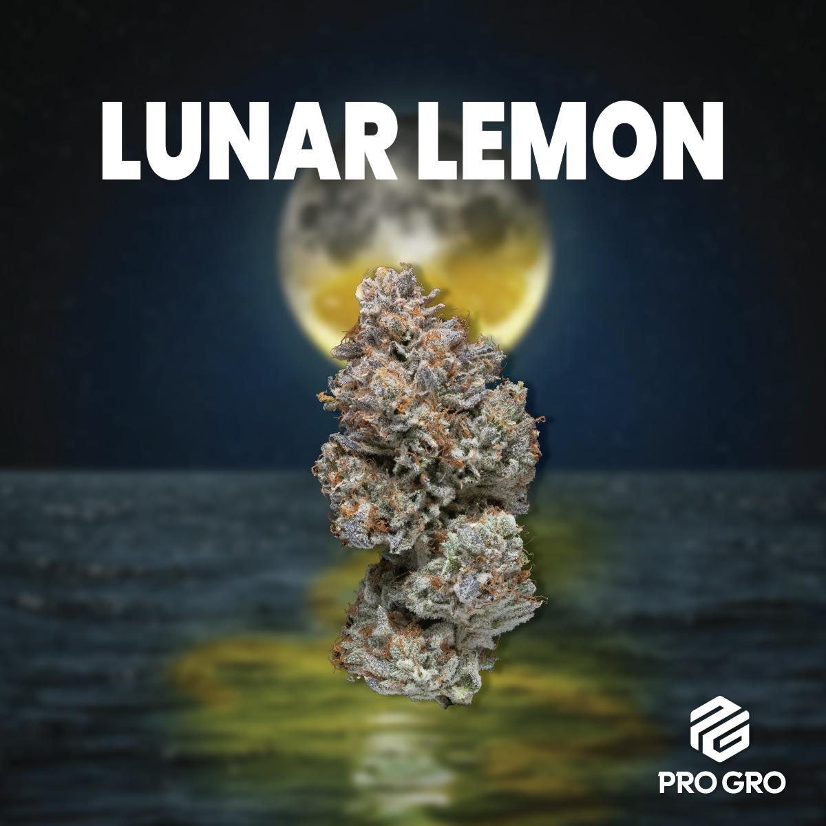 Lunar Lemon Pre-Pack | 3.5g - image 1