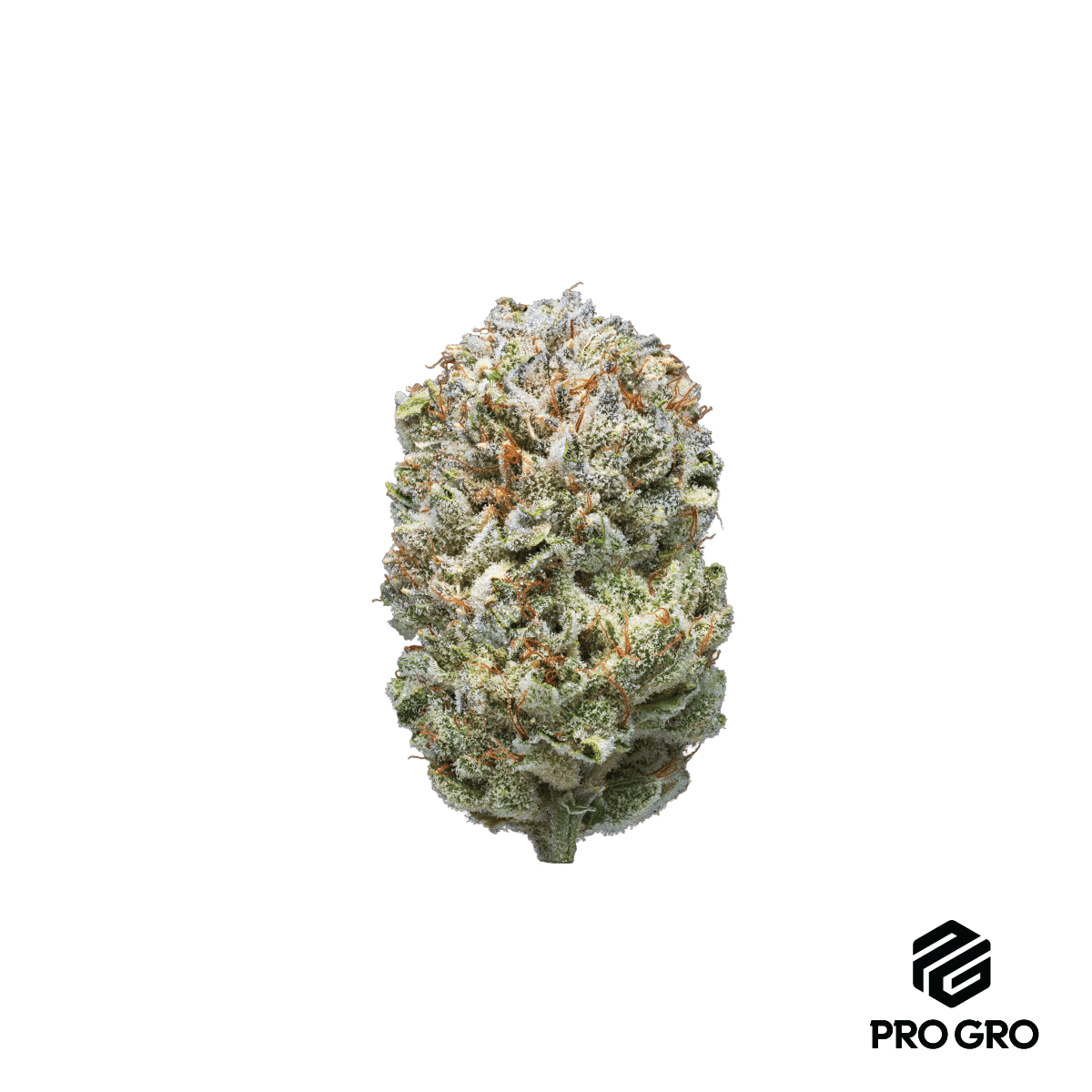 Outlaw Glue - image 1