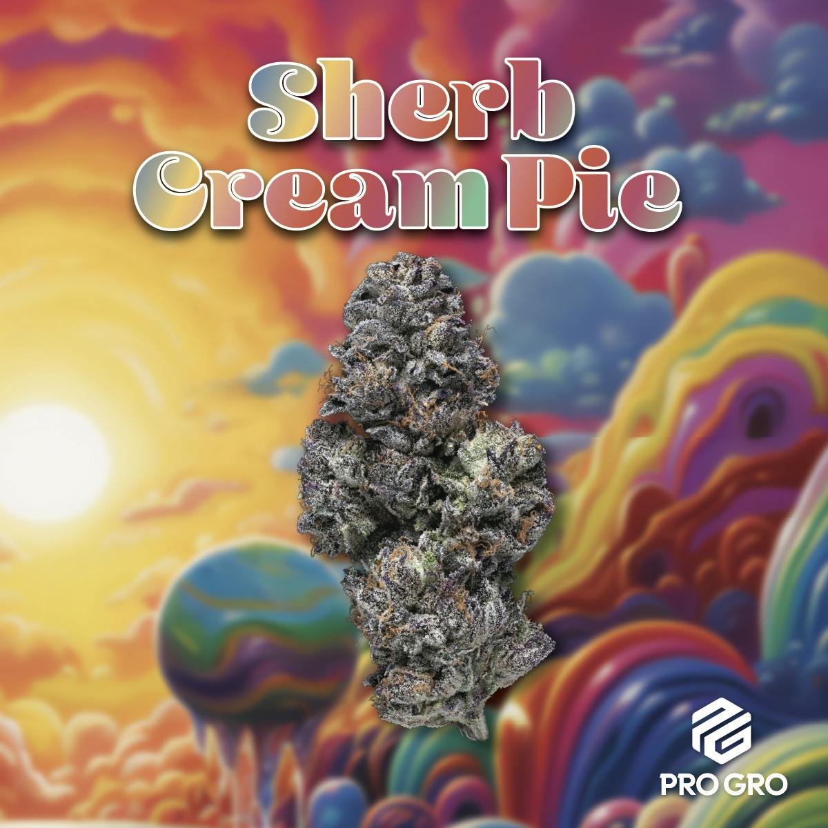 Sherb Cream Pie Pre-Roll | 1g - image 1