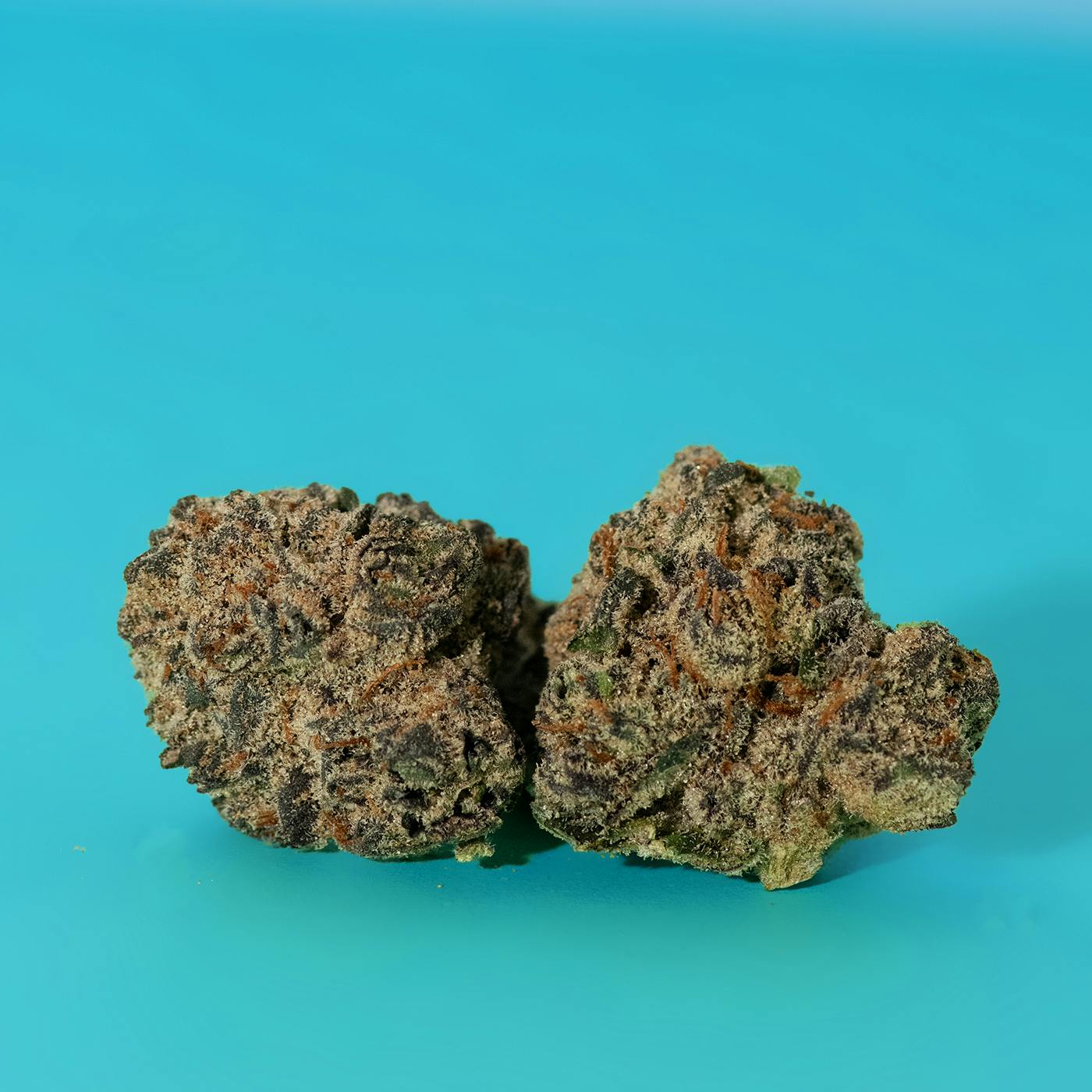 Coco Chanel Flower 14g - image 2