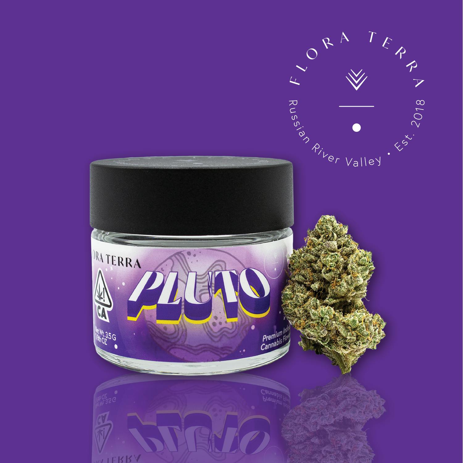 Flora Terra | Pluto | 3.5g Flower - image 1