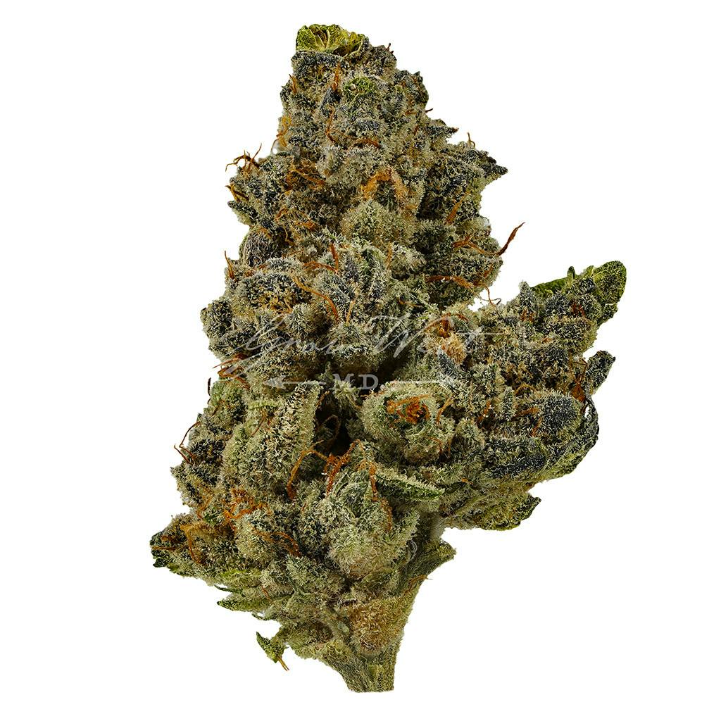 Sour Grape | Premium | Hand-Trimmed | 3.5g - image 1