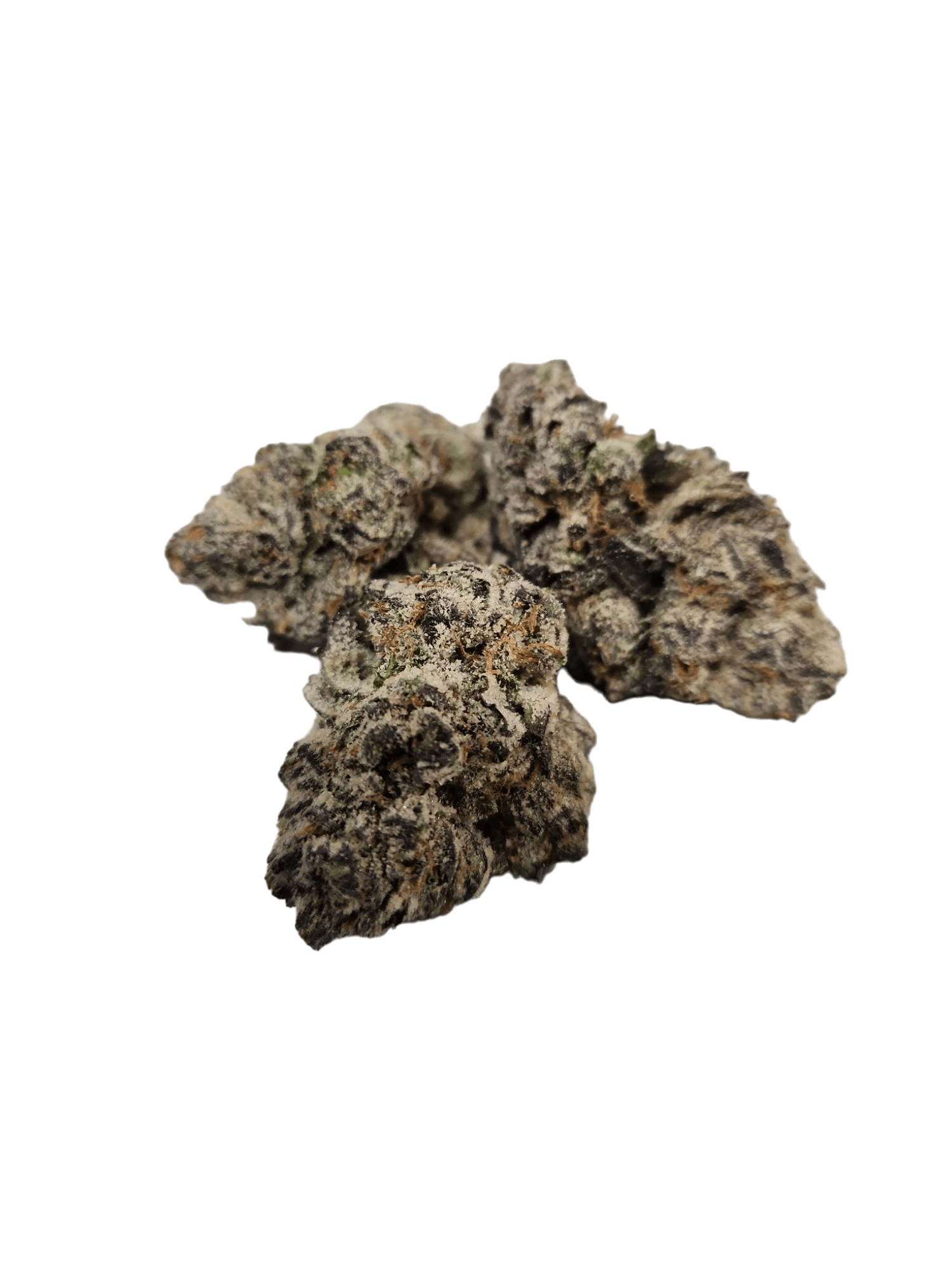 Frosted Apricot - image 1
