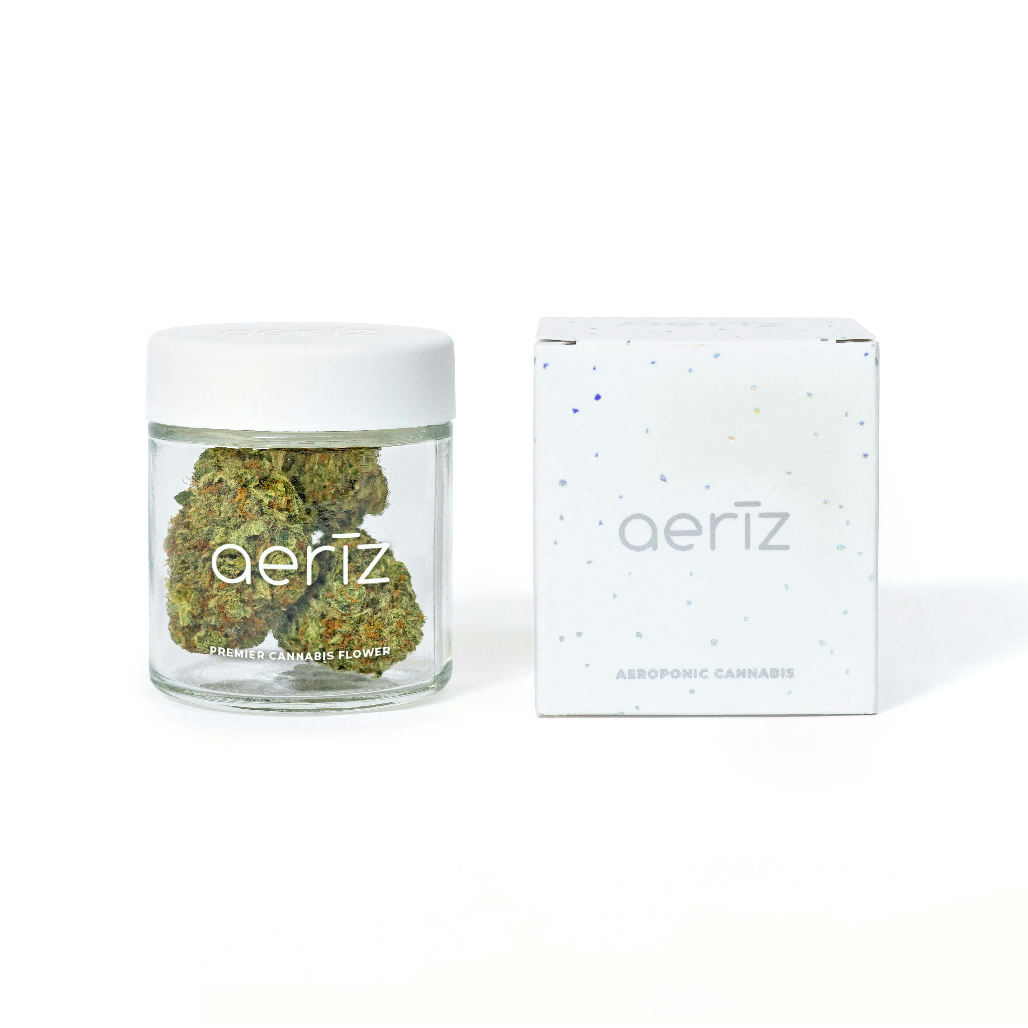 Bolo Berriez Premier Flower - image 1