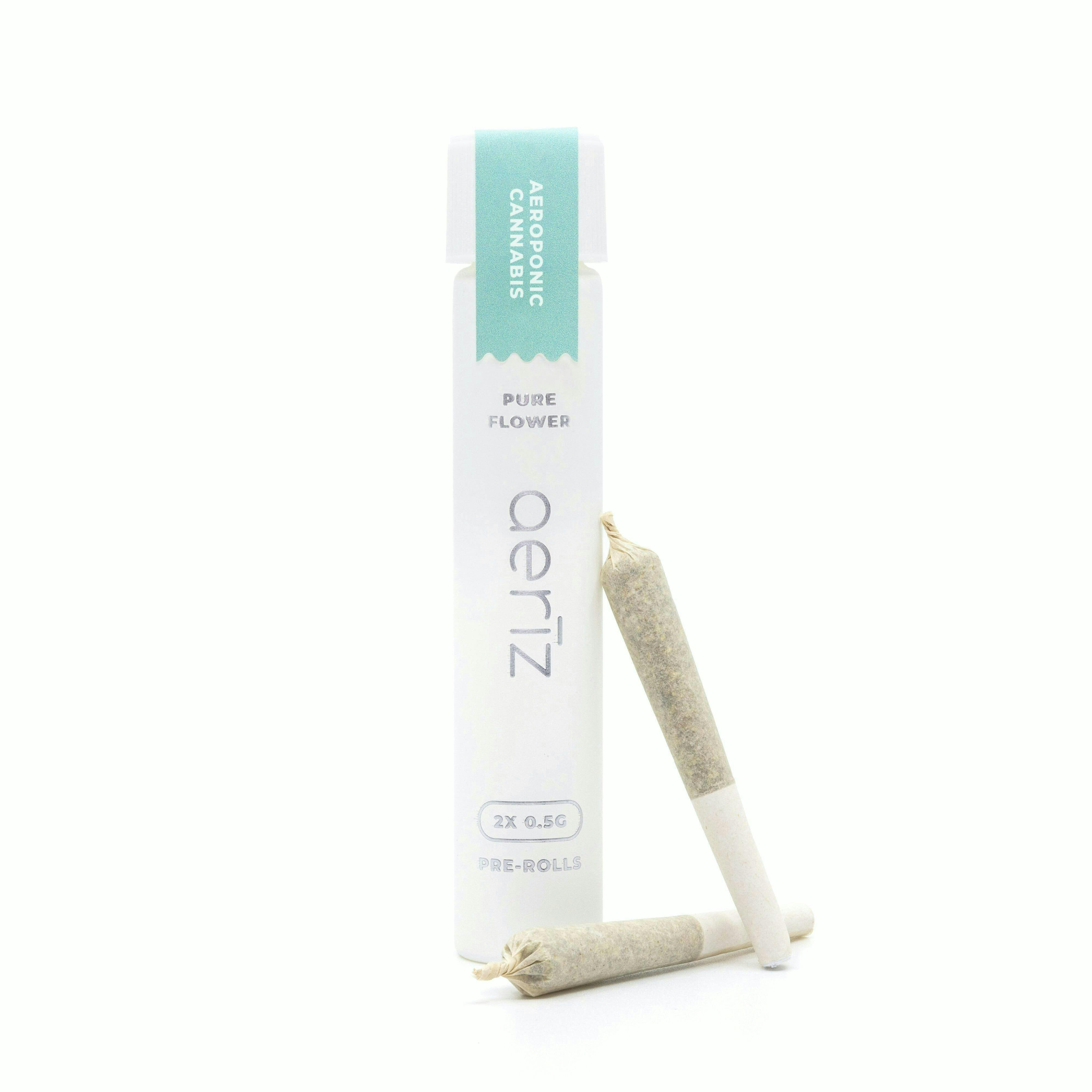 Florida Oranges Pre-Roll Pack - image 1