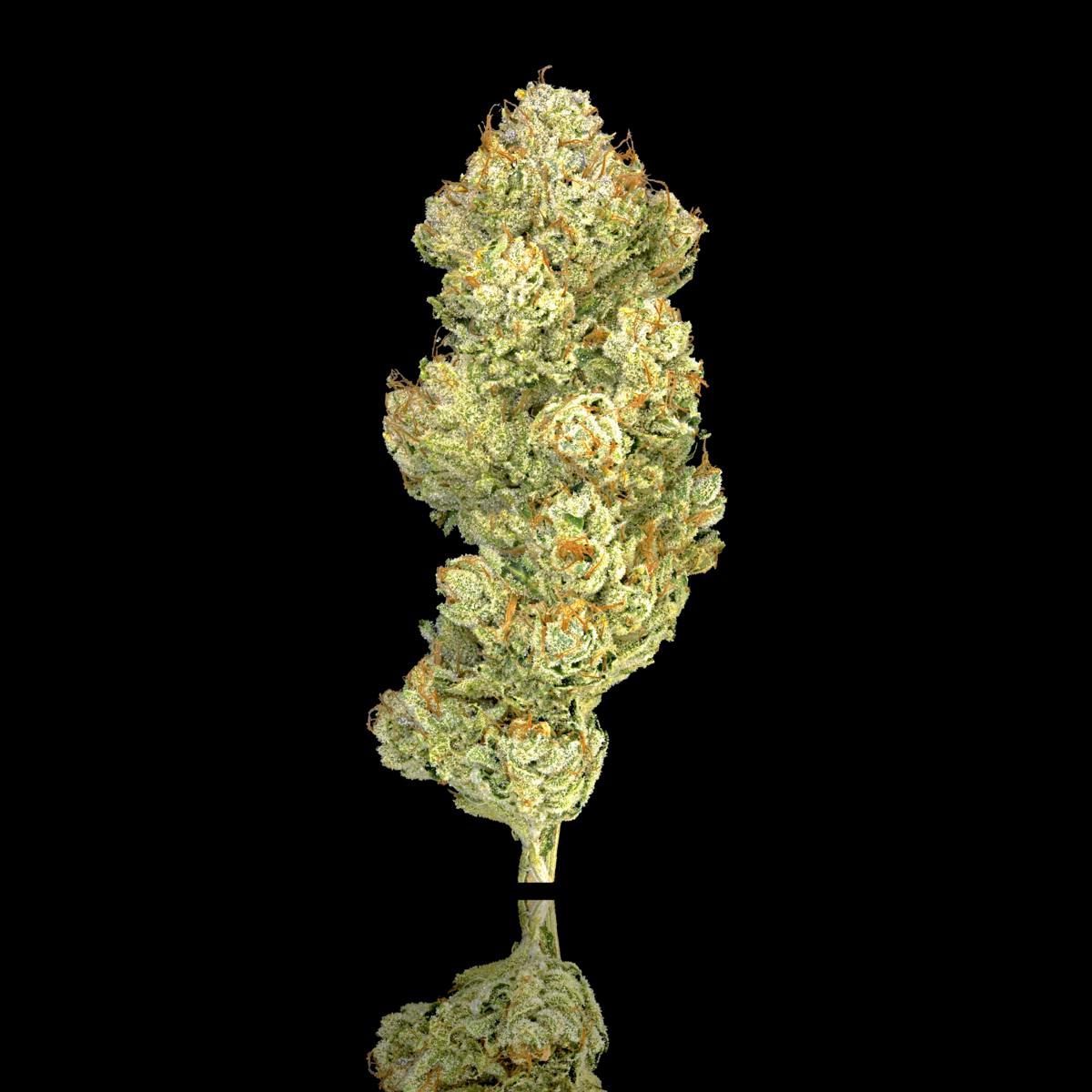 Saturn OG Pre-Roll 5-Pack [2.5g] - image 2