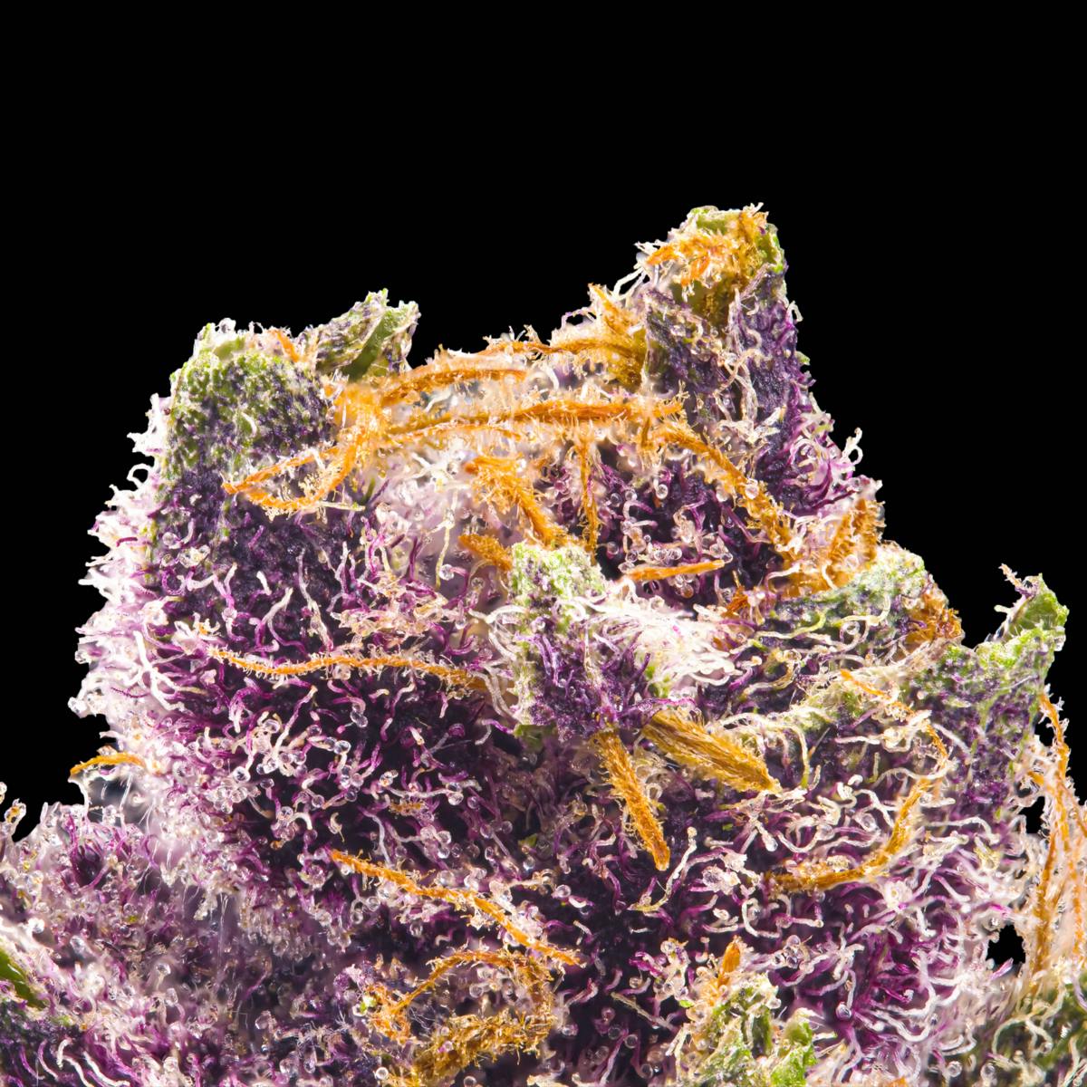 Tropicana Cookies Pre-Roll 5-Pack [2.5g] - image 4
