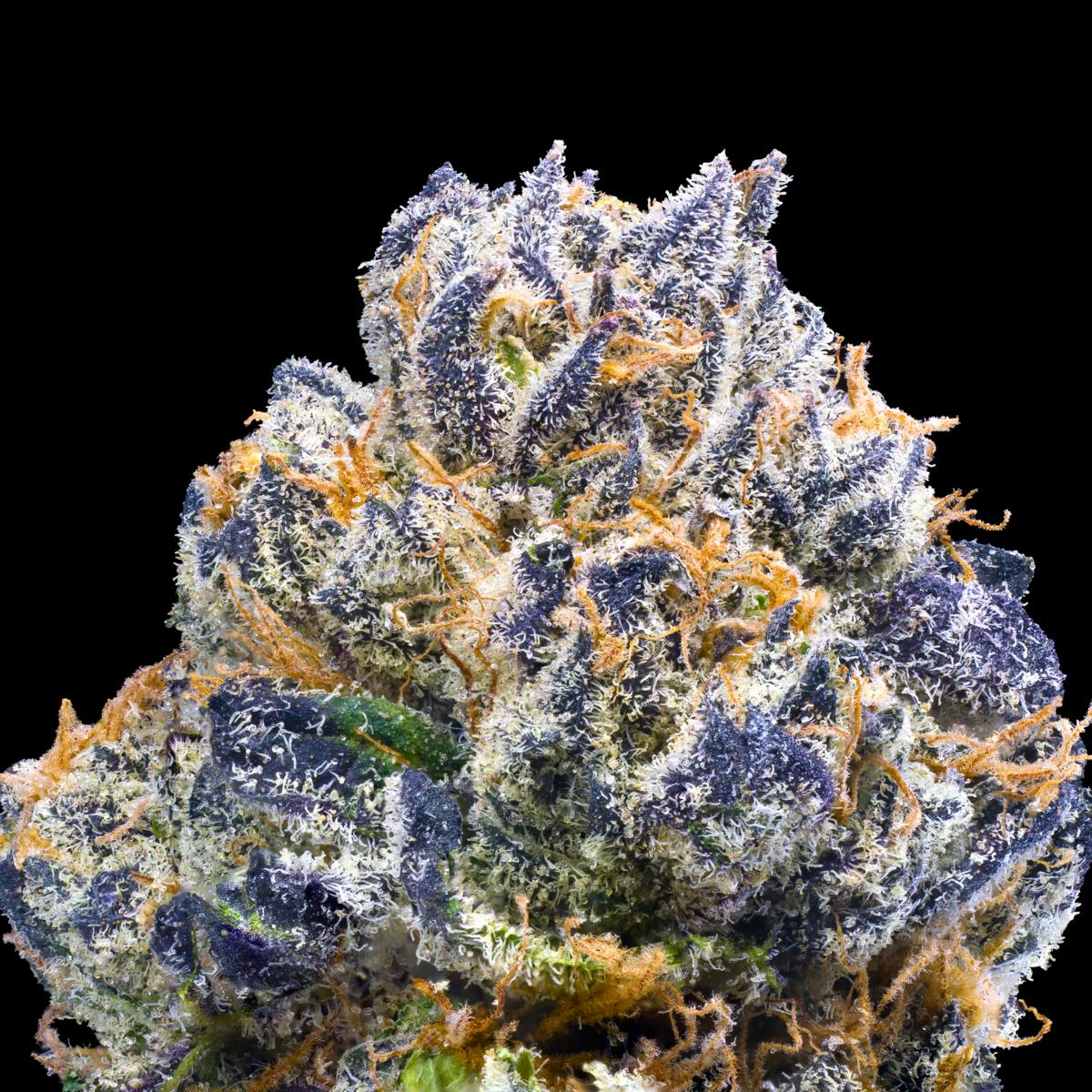Purple Chai Pre-Roll [1g] - image 3