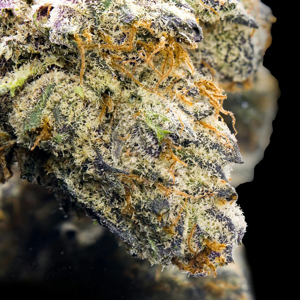 Sour Sangría Pre-Roll [1g] - image 4
