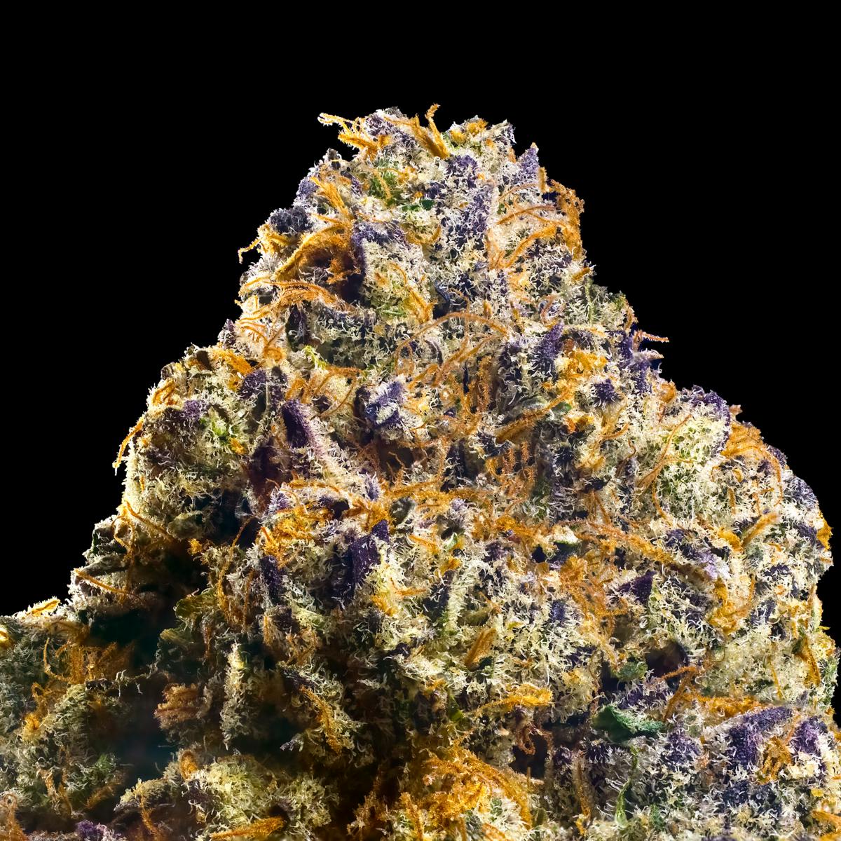 Sour Sangría Pre-Roll [1g] - image 3