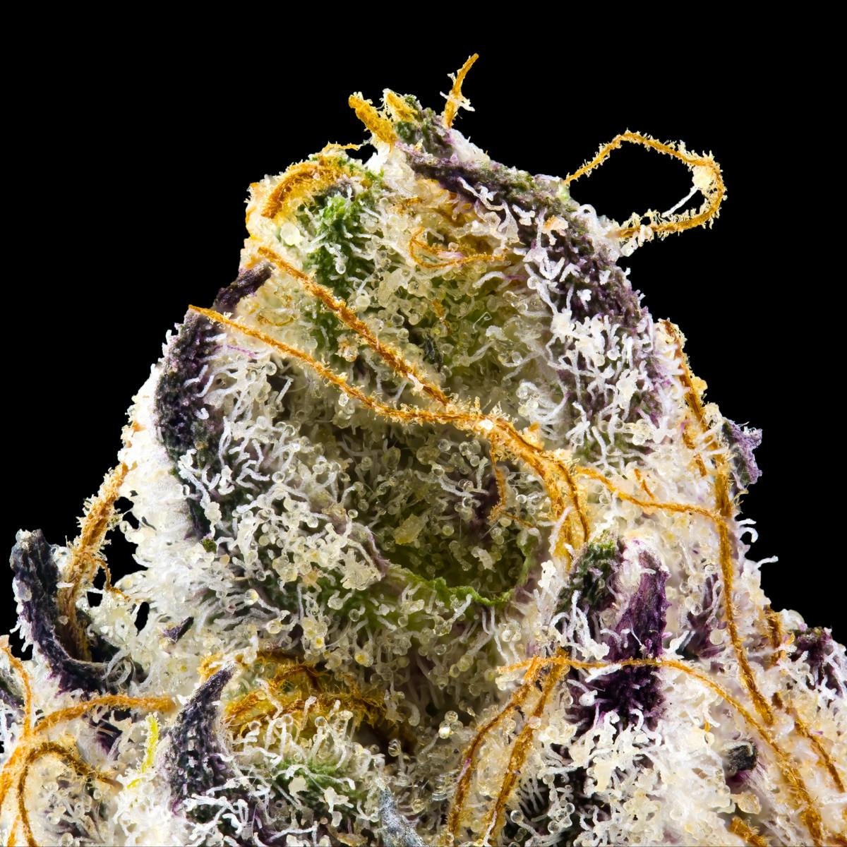 French Laundry Gold Blend Airgraft Pod [1g] - image 4
