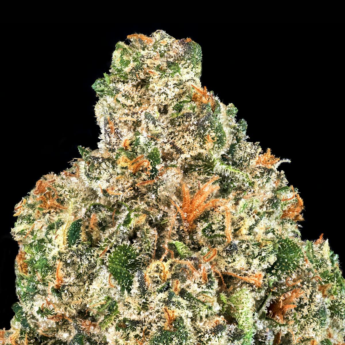 Sherb Mints Gold Blend Cartridge [1g] - image 3