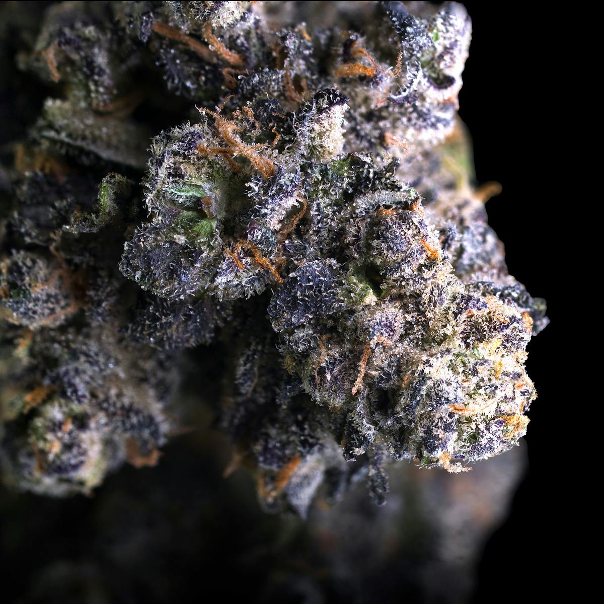 Umami Butter Gold Blend Cartridge [1g] - image 3