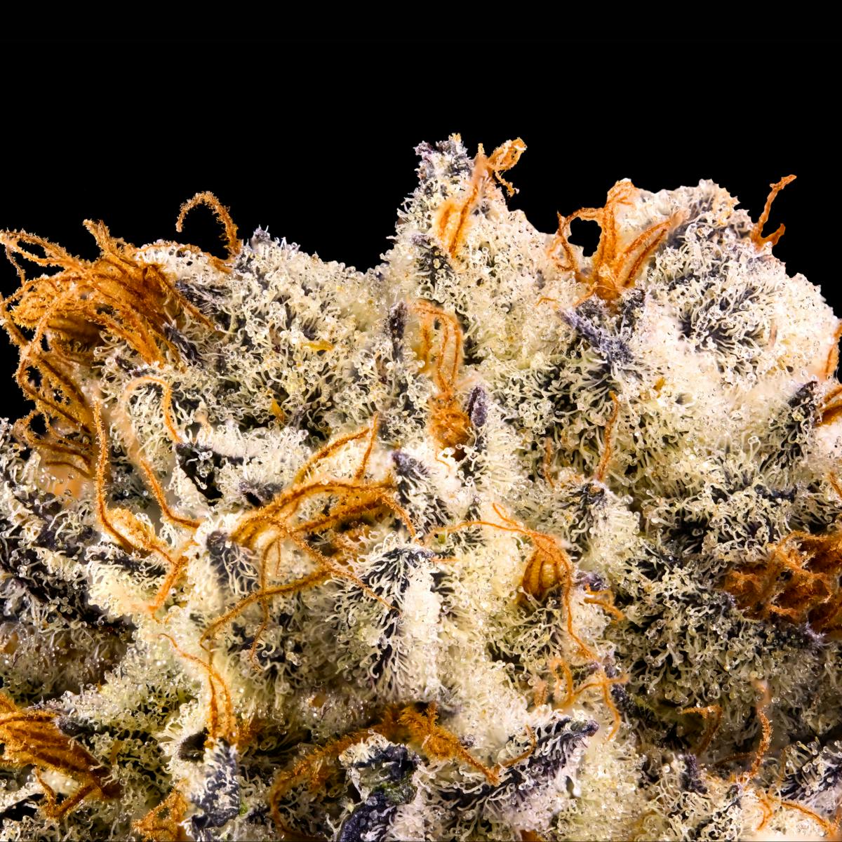 White Dahlia Gold Blend Cartridge [1g] - image 4