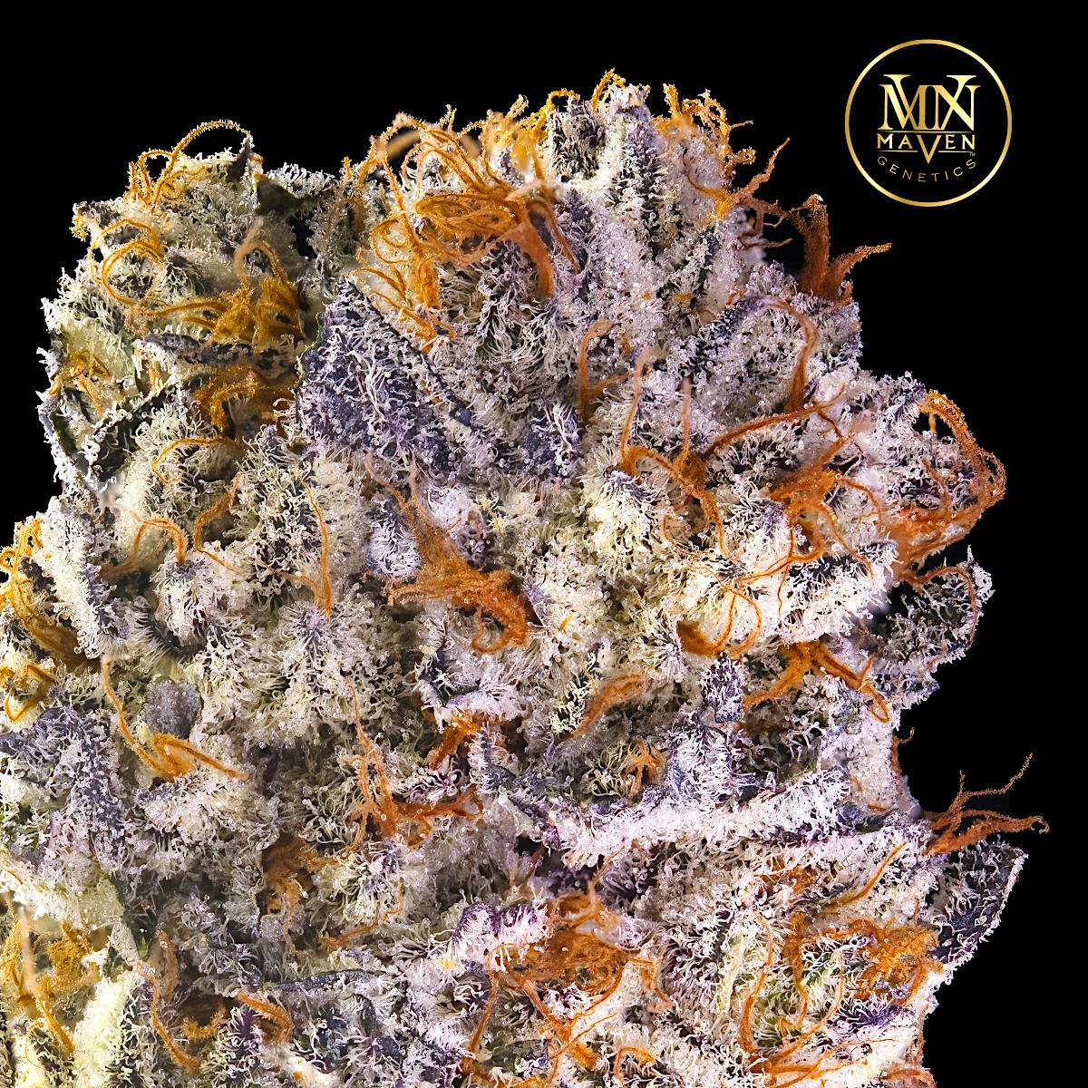 White Dahlia Gold Blend Cartridge [1g] - image 3
