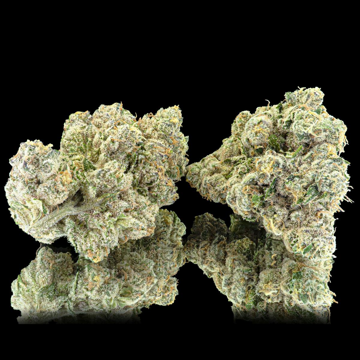 Ajo Blanco Pre-Roll 5-Pack [2.5g] - image 3