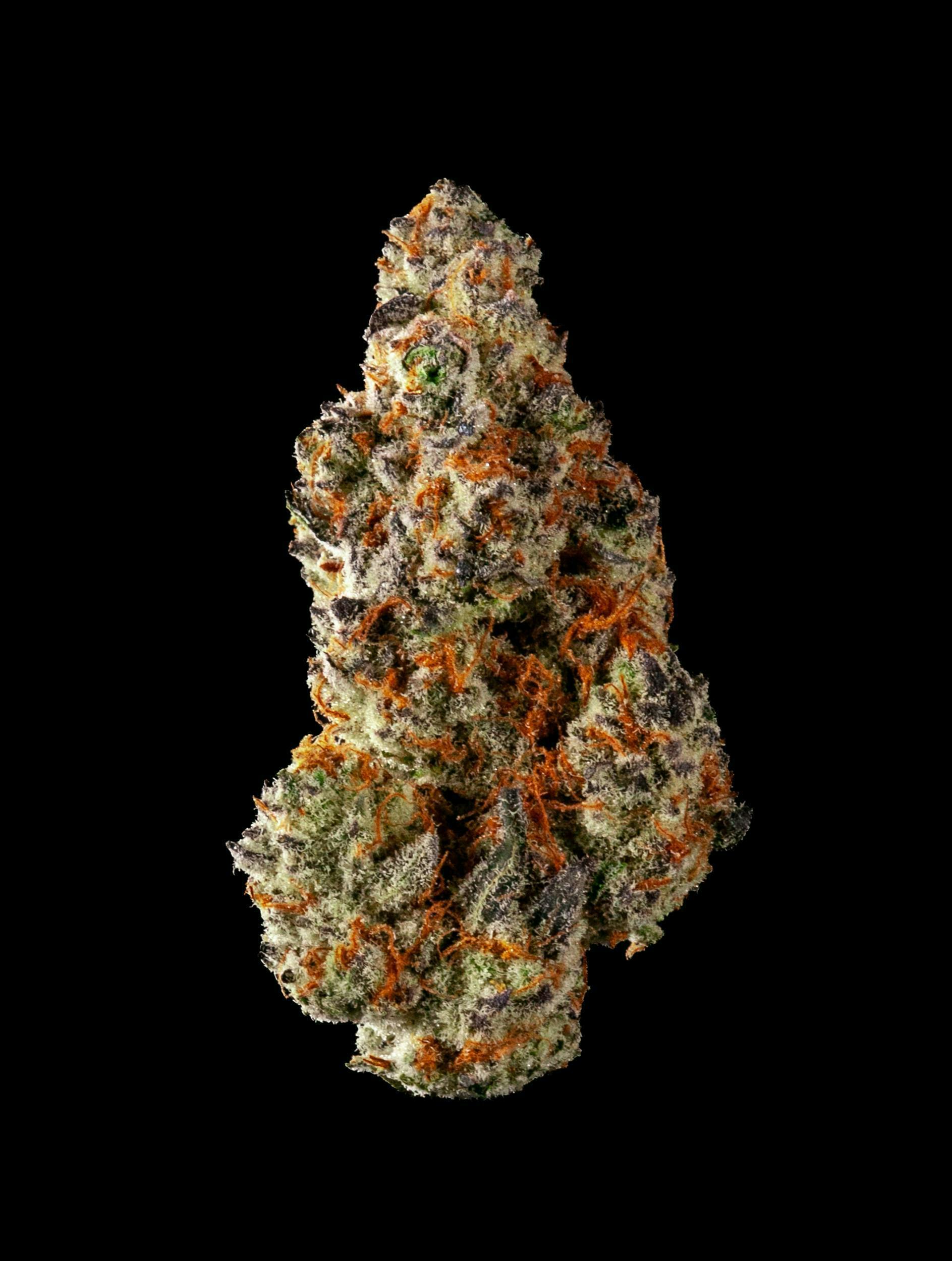 Punch Breath by Garden First - image 1