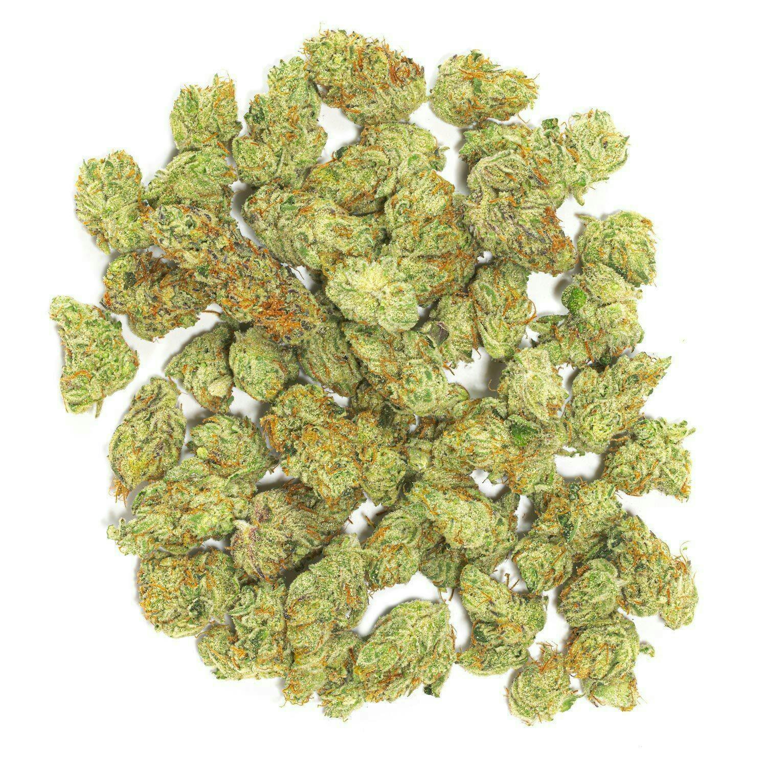 Cleo - 7g Top Shelf Indoor Smalls - image 2