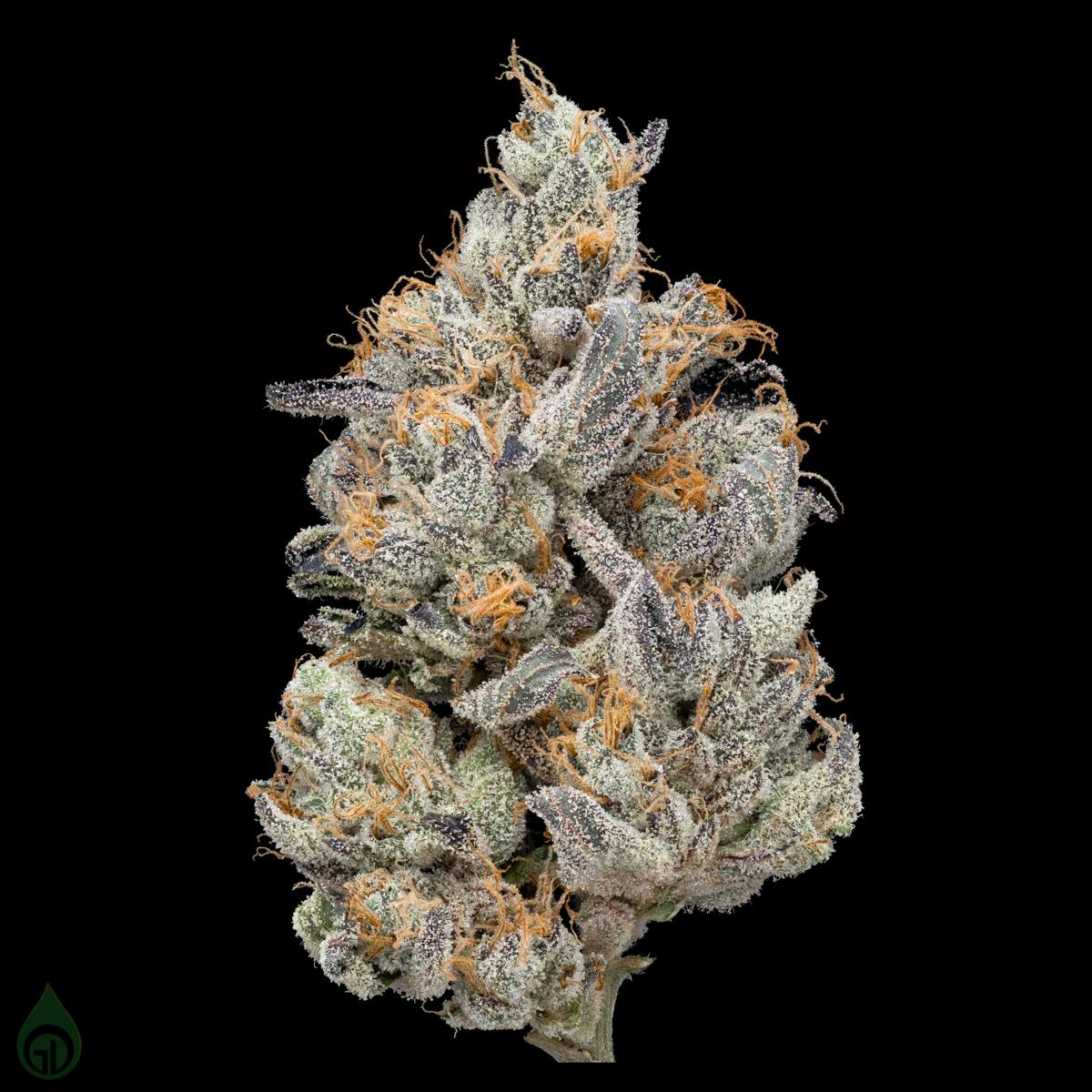 GDL Black Label Flower (7g) | Picasso - image 3