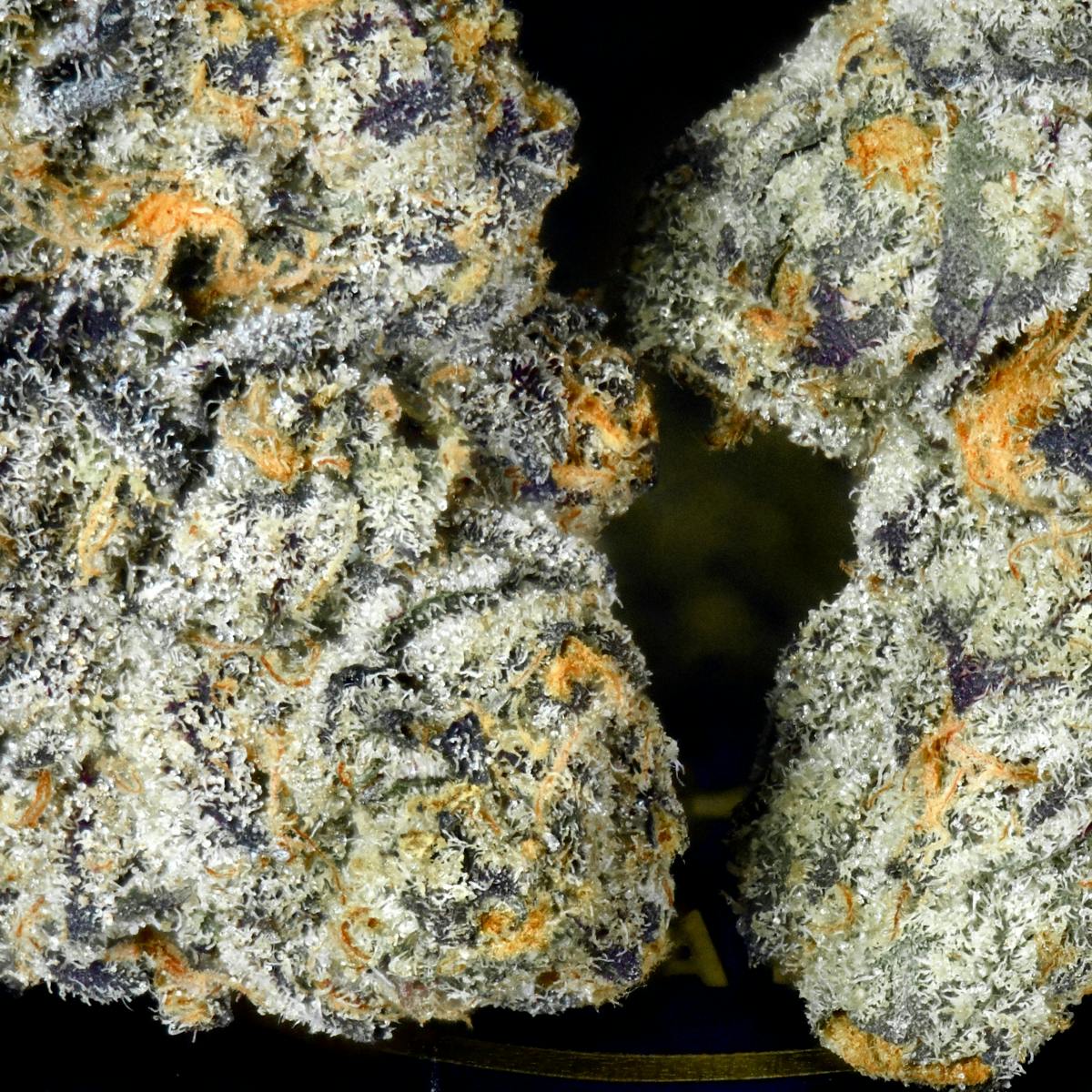 Blue Lotus Gold Blend Cartridge [1g] - image 3