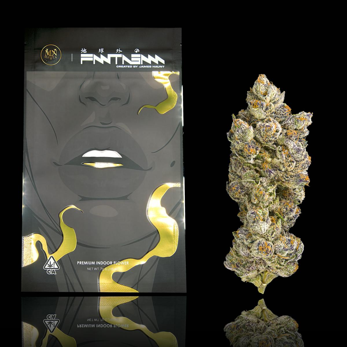 Fantasma - image 1
