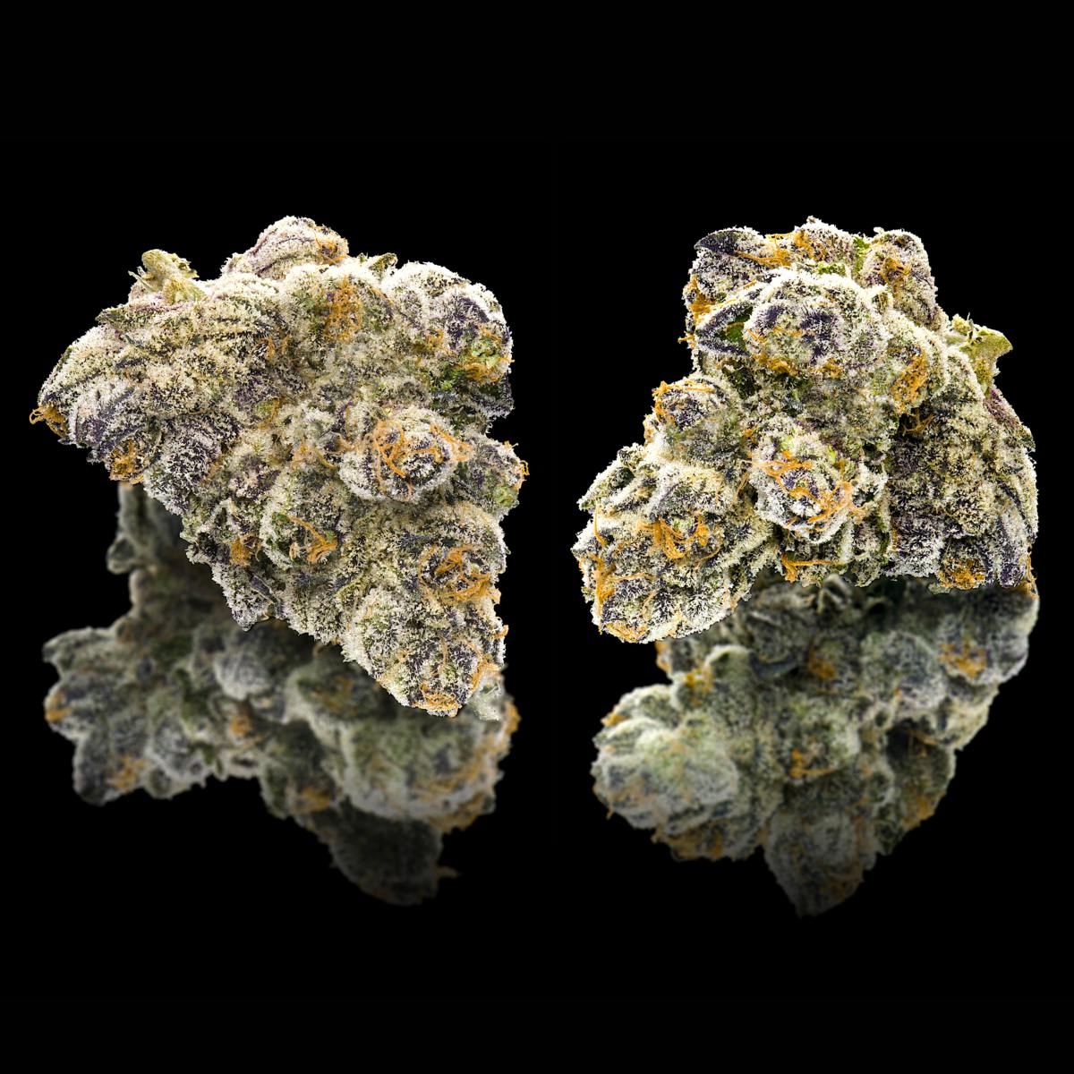 Fantasma By James Haunt Pre-Roll [1g] - image 4