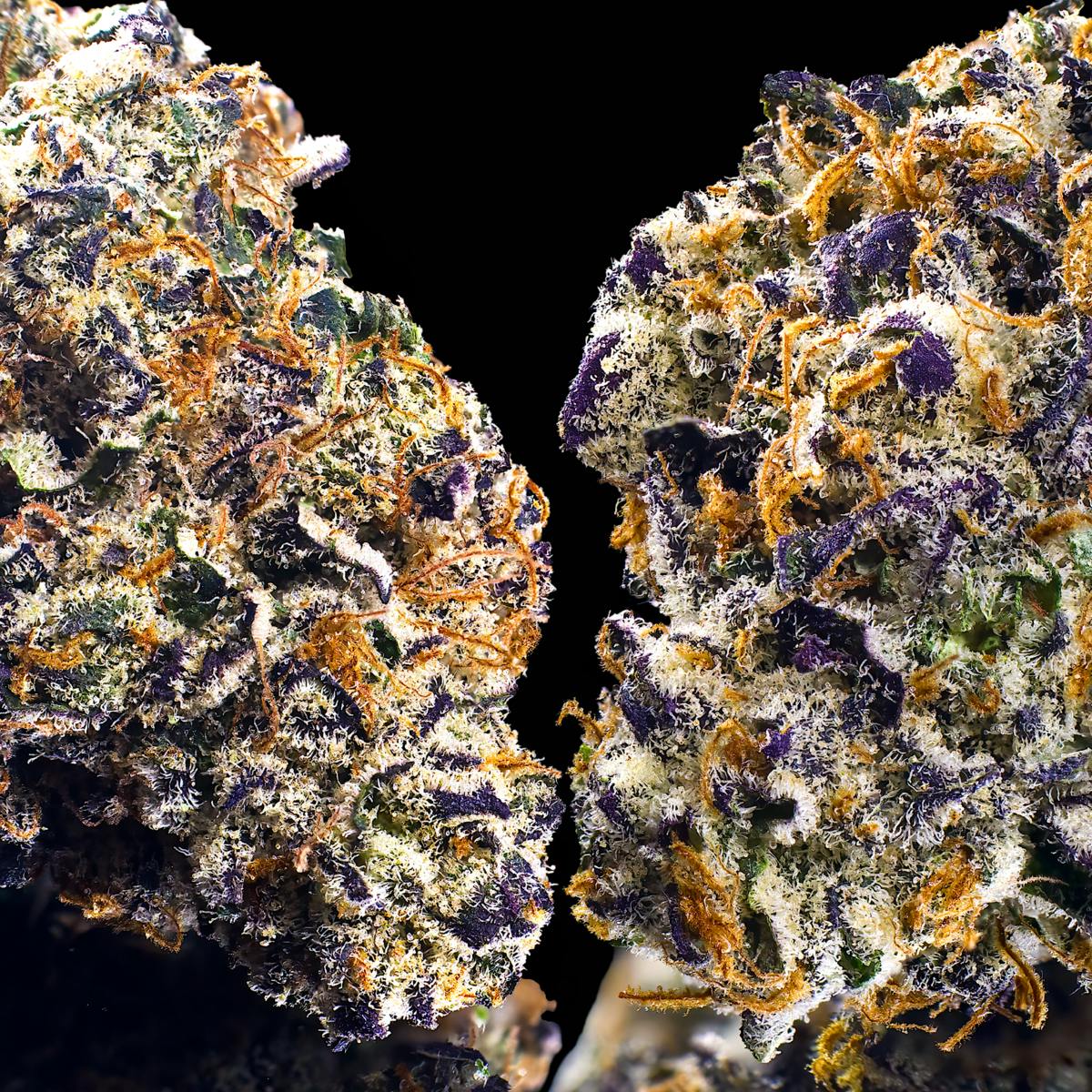 Clementine Sour Pre-Roll [1g] - image 5