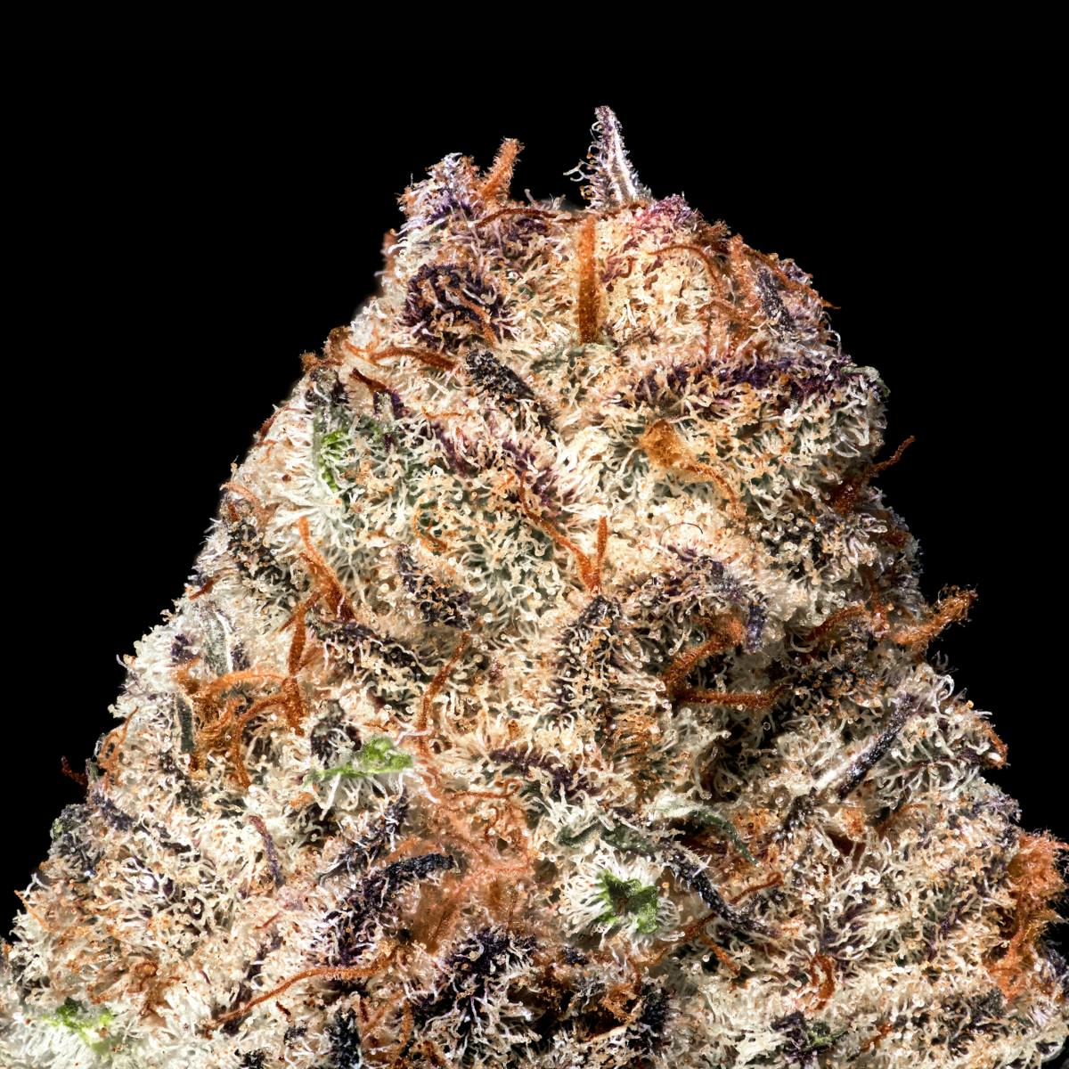 Sour Lemon Mac Gold Blend Cartridge [1g] - image 5