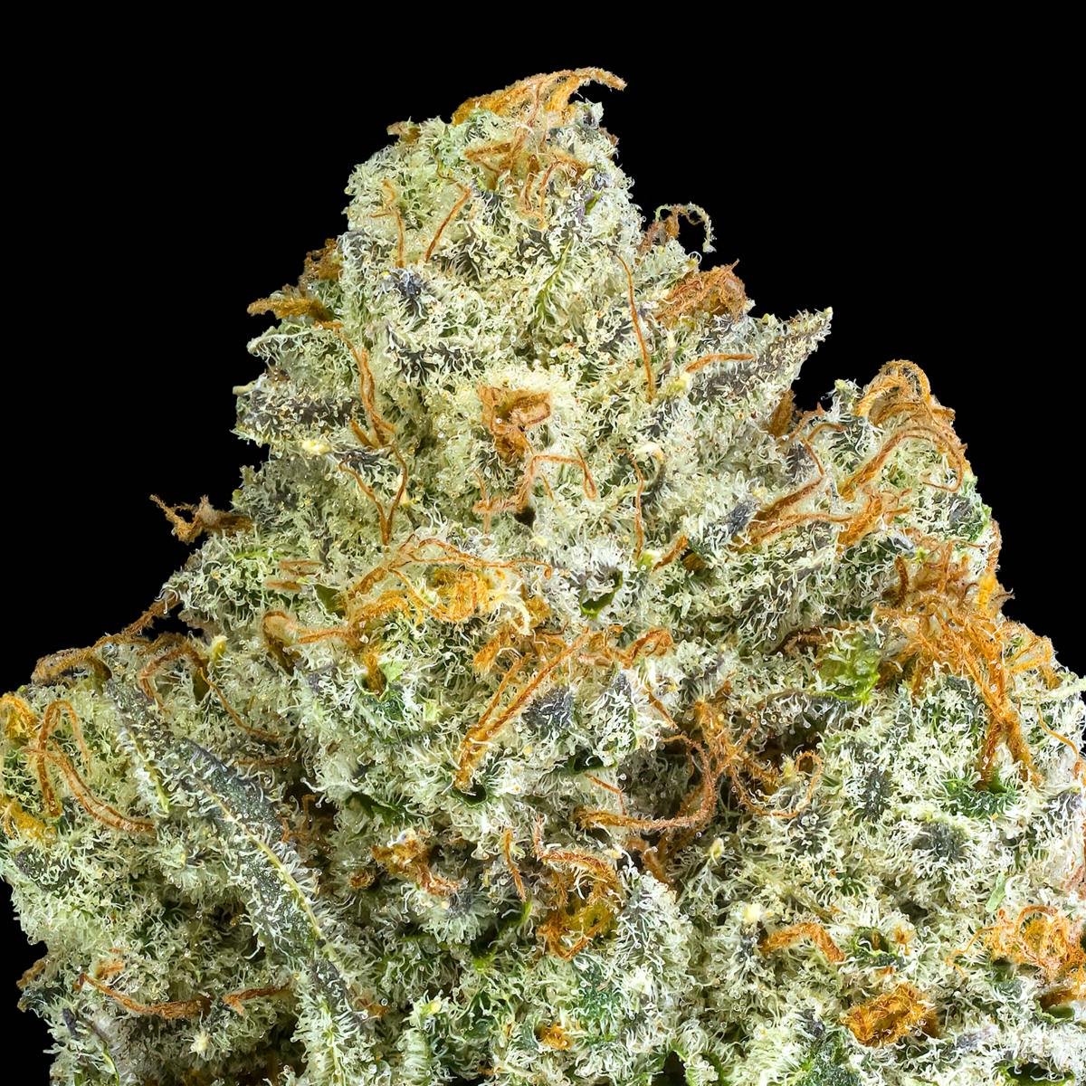 Orange Truffle Soufflé Live Resin Liquid Diamonds Airgraft Pod - image 4