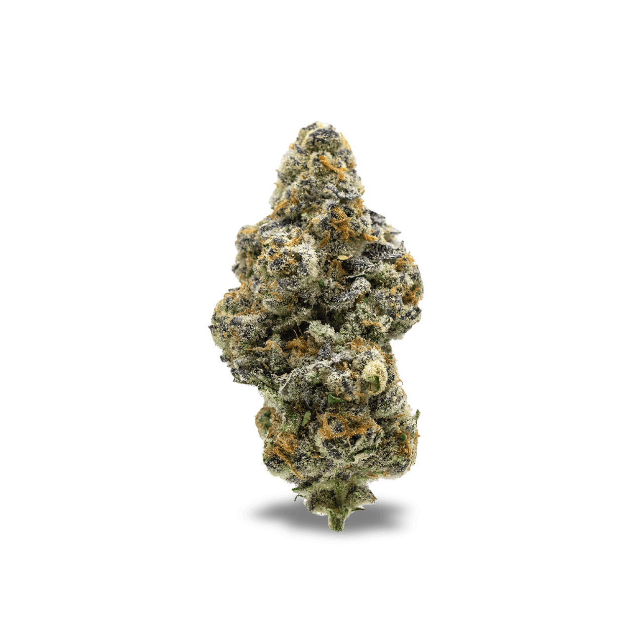 Society C - El Chivo - 0.5g Live Rosin Disposable Vape - image 2