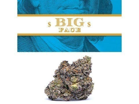 Cookies - Big Face - image 1