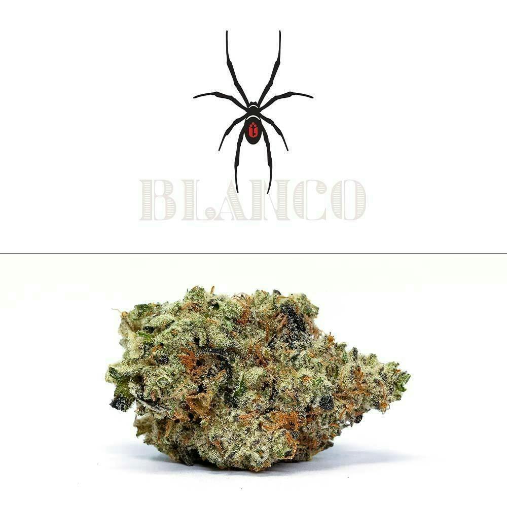 Cookies - Blanco - 7G - image 1
