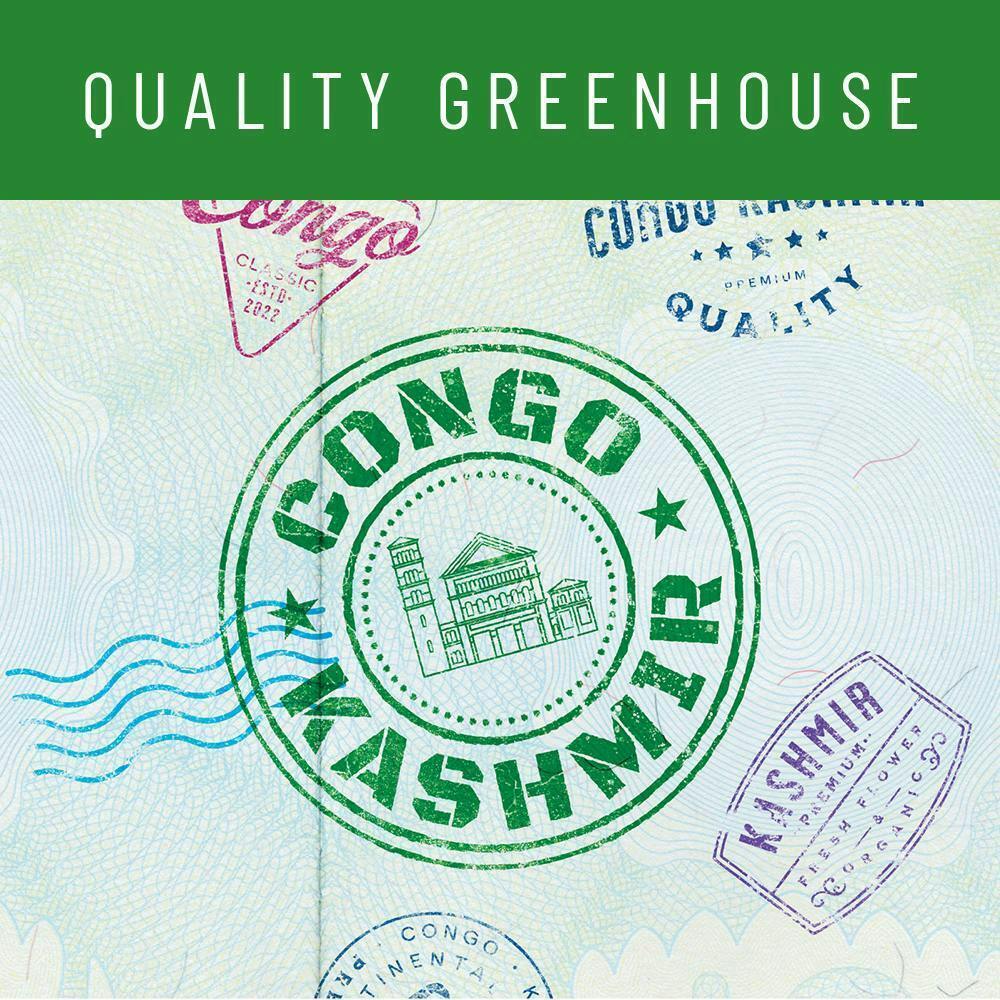 Cookies - Congo Kashmir - Greenhouse - image 1