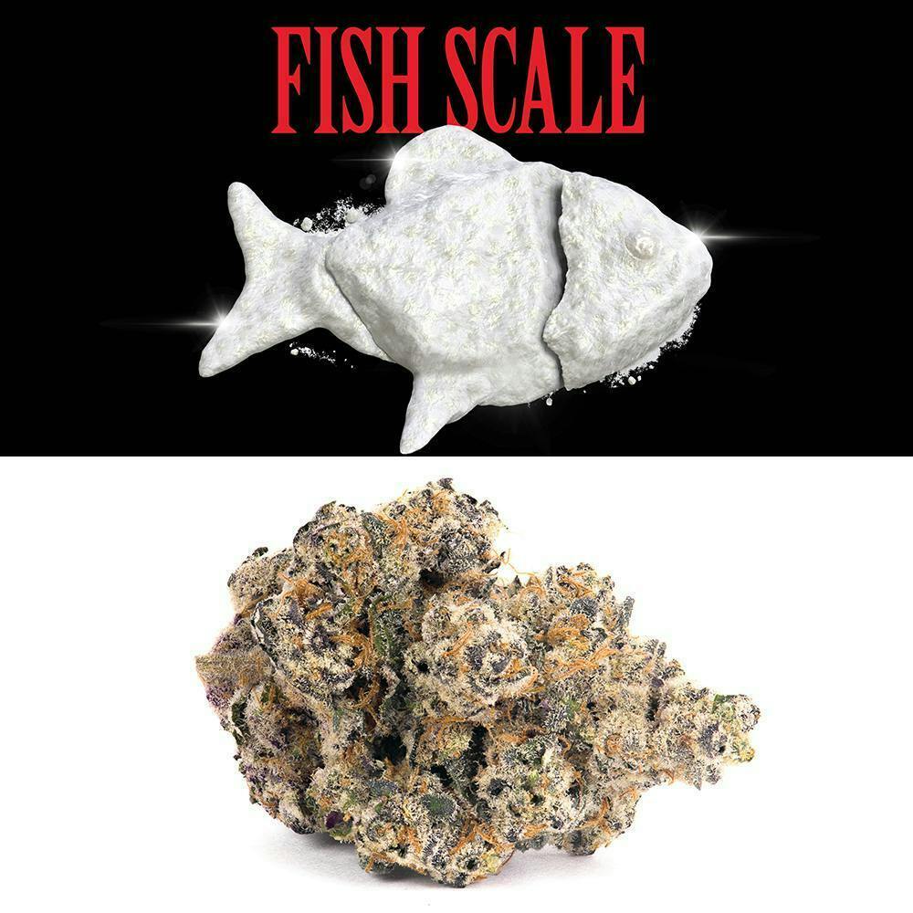 Cookies - Fish Scale - image 1