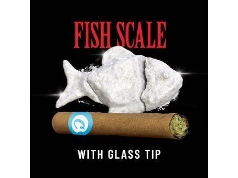 Cookies - Fish Scale - Blunt - 2g - image 1