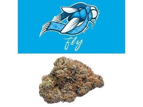 Cookies - Fly - image 1