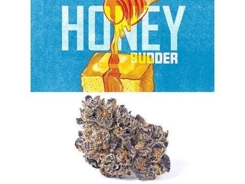 Cookies - Honey Budder - image 1
