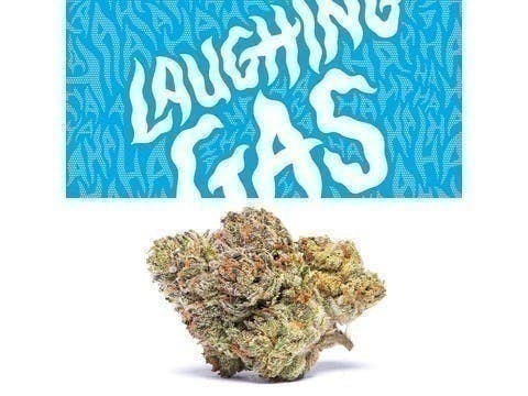 Cookies - Laughing Gas - image 1