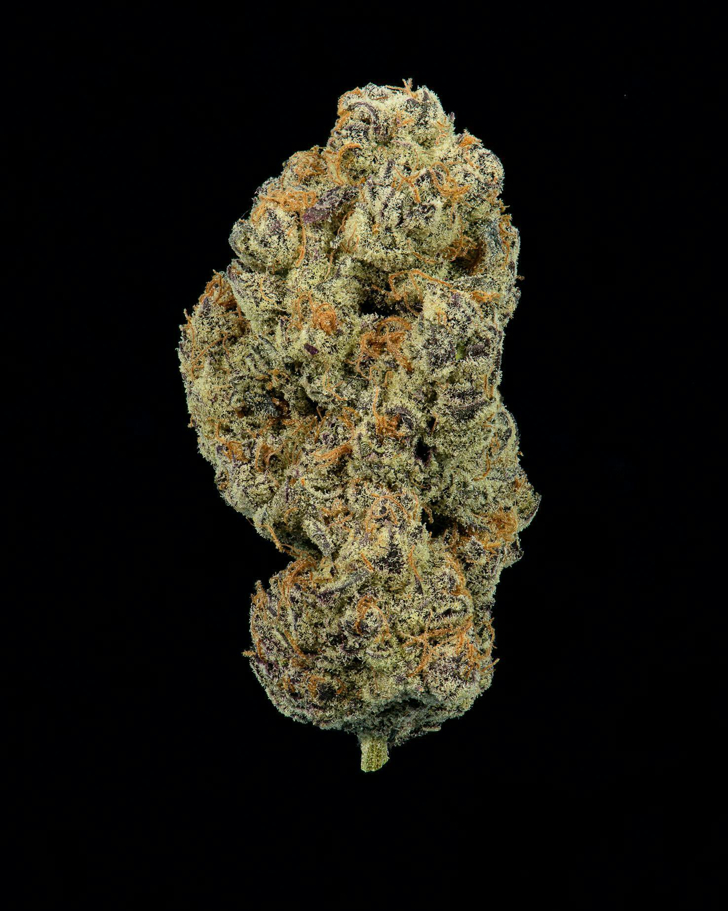 Cookies - Micro Batch R&D - Chimera (White Truffle x The Creature) - image 1
