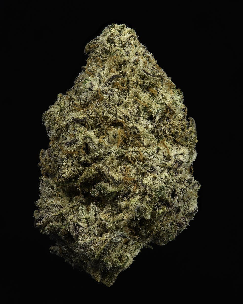 Cookies - Micro Batch R&D - Gelato x Wedding Cake - image 1