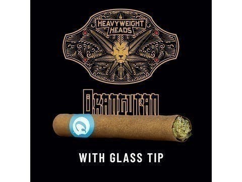 Cookies - Orangutan - Blunt - 2g - image 1