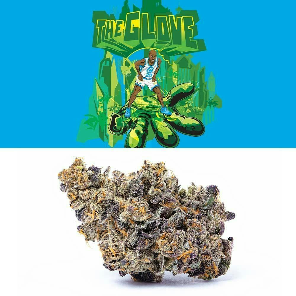 Cookies - The Glove - image 1