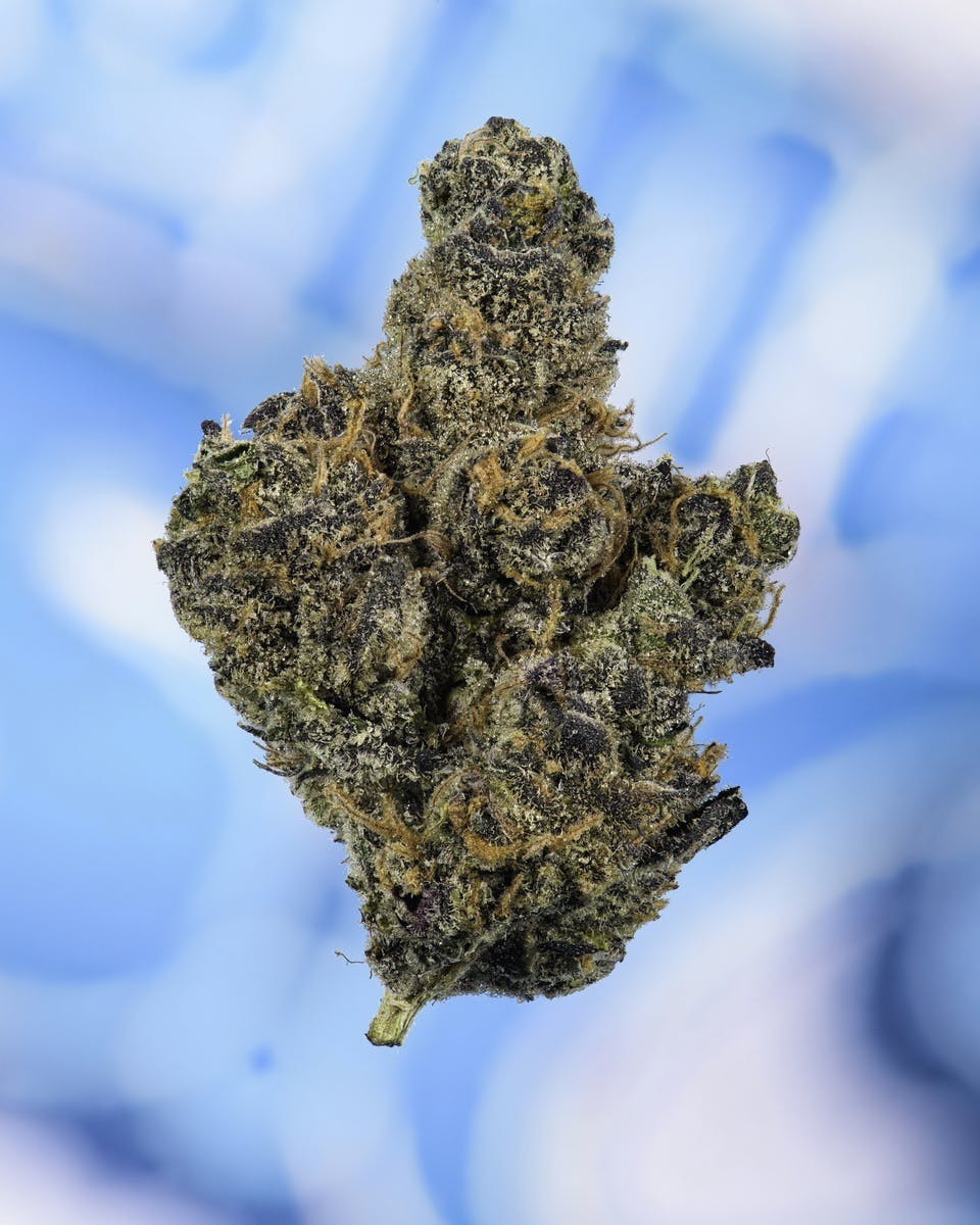 HIGH MART x Cookies - OG GSC - image 1