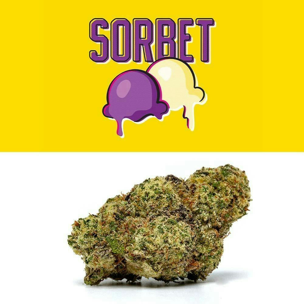 Lemonnade - Sorbet - image 1
