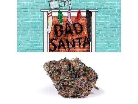 Minntz - Bad Santa - image 1