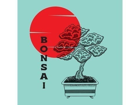 Minntz - Bonsai - image 1
