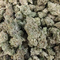 Secret Stash Flower - Big Ripper - image 1